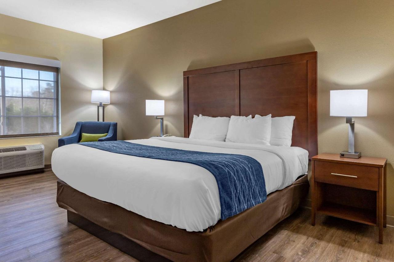 Comfort Inn & Suites High Point - Archdale מראה חיצוני תמונה