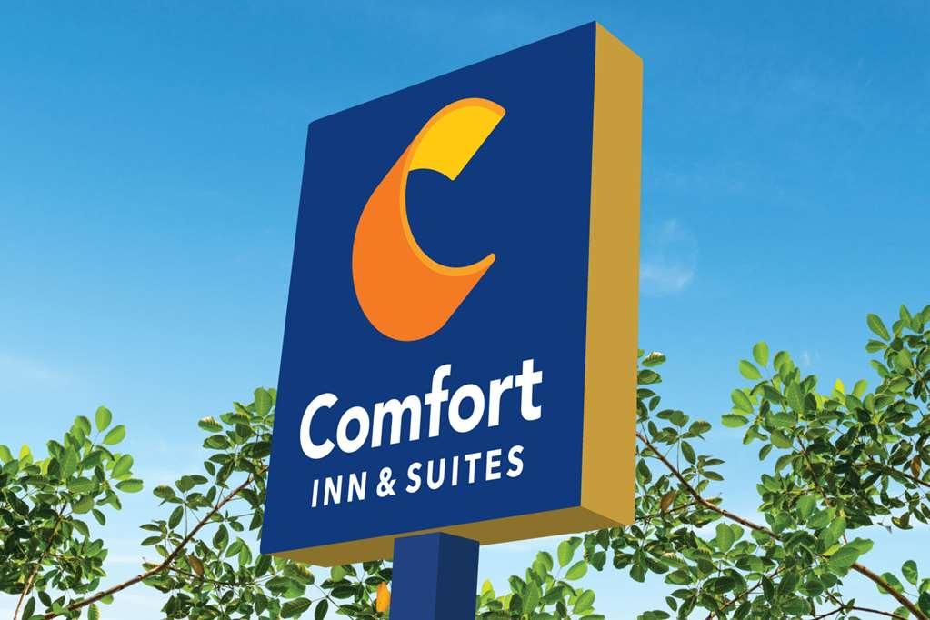 Comfort Inn & Suites High Point - Archdale מראה חיצוני תמונה
